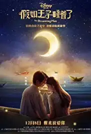 Jia ru wang zi shui zhao le (2017)