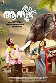 Aana Alaralodalaral (2017)