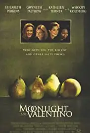 Moonlight and Valentino (1995)