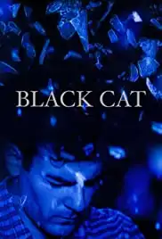 Black Cat (2017)
