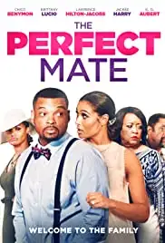 The Perfect Mate (2020)
