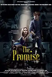 The Promise (2016)