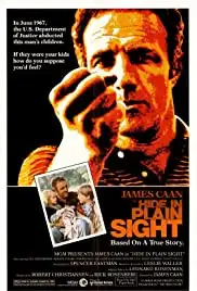 Hide in Plain Sight (1980)