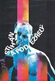 Stíhán a podezrelý (1979)