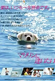 Marilyn ni aitai (1988)