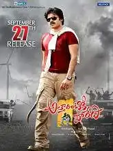 Attarintiki Daredi (2013)