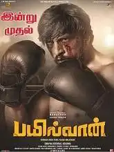 Bailwaan (2019)